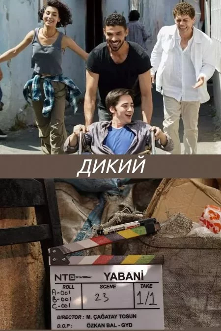 Дикий турецкий сериал